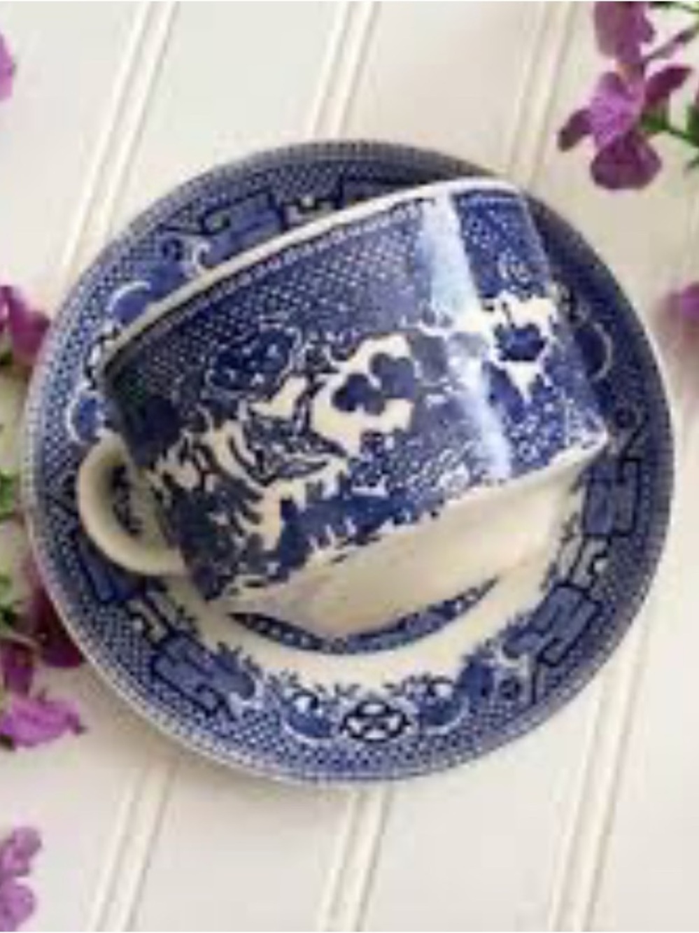 Vintage Swinnertons Old Willow Blue Flat Cup & Saucer Set